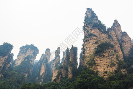 张家吉国家公园天子山自然保护区和雾 中国 中国地标公园旅行化身悬崖旅游森林顶峰爬坡天气背景图片