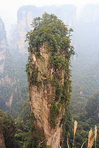 Changjiajie国家公园(天津山自然保护区)和雾的哈利路亚山 中国背景图片