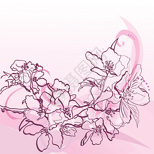 粉红手画花和装饰曲线生日卡片艺术玫瑰边界插图框架角落墙纸问候语背景图片