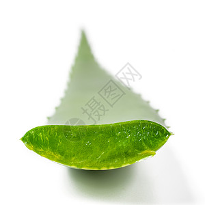 单体肺炎草药药物叶子植物绿色背景图片
