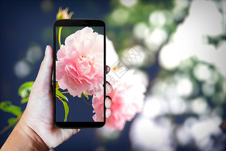 手握现代移动电话屏幕电讯手机工具触摸屏花卉细胞技术背景讲话背景图片