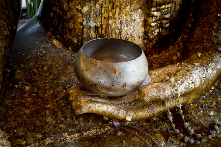 Buddha 手和增肥碗的选定焦点背景图片