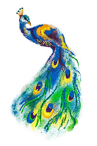 多彩的孔雀鸟兰焦利背景图片