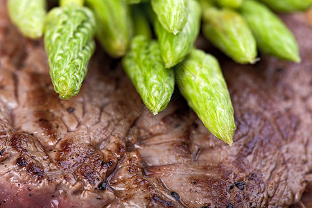 牛排认知季节牛扒荒野自然界宝石美食家高清图片