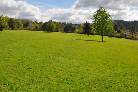 大草坪国标右手英语旅游旅行场地园艺绿色植物花园高清图片
