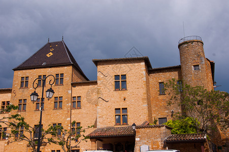 Beaujolais 银石水果葡萄干葡萄园日记集团农业团体藤蔓贵族食物背景图片