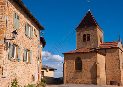 Beaujolais 银石计划食物贵族农业葡萄干团体藤蔓葡萄园日记水果背景图片