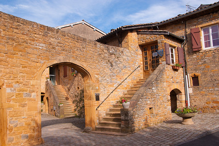 Beaujolais 银石水果葡萄园食物贵族藤蔓集团计划日记农业葡萄干背景图片