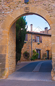 Beaujolais 银石葡萄园水果贵族食物集团葡萄干农业计划团体日记背景图片