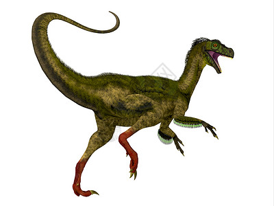 恐龙尾巴恐龙尾目鸟巢食肉灭绝侏罗纪生物历史脊椎动物主题爬虫尾巴背景