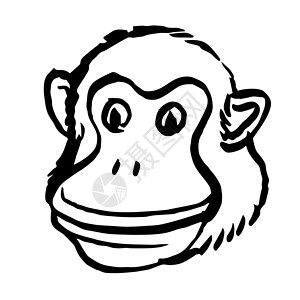 猴子头部素材白背景猴子头的手笔图示( B)背景