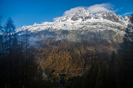 山树剪影法国阿尔卑斯山的秋天世界剪影自动化天气国家树木季节寒冷农村各地背景