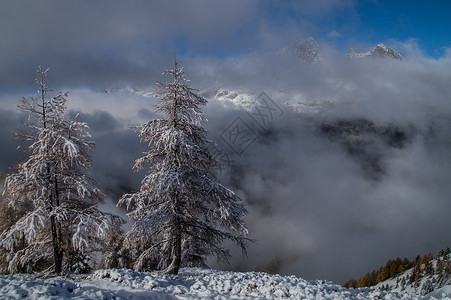 法国高山的秋冬和秋冬季节世界风景树木剪影天气国家寒冷自动化各地背景图片