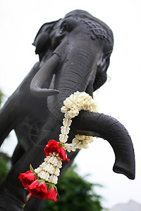 庙大象背景图片