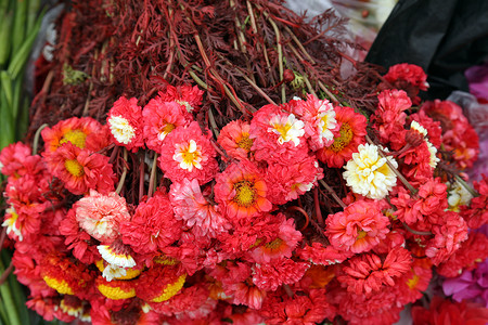 加尔各答的鲜花市场奉献文化小贩宗教装饰品花环寺庙精神旅游紫色背景图片