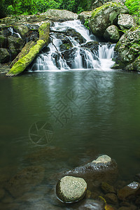 美丽的瀑布石头森林风景公园环境叶子遗产国家荒野岩石背景图片