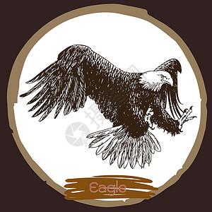 鹰 鹰鸟和鹰鸟的插图信仰濒危程序贴花胜利处理绘画艺术手套动物背景图片