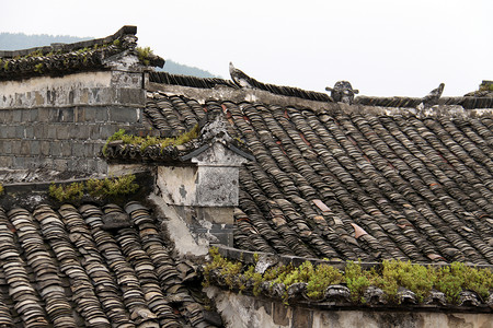 屋顶绿色灰色乡村建筑物村庄背景图片