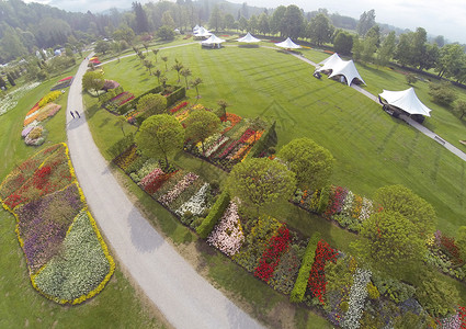 斯洛文尼亚的Arboretum植物园生长绿色高清图片