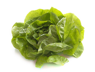 新鲜生菜沙拉绿色色拉工作室食物蔬菜背景图片
