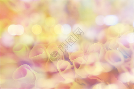花的颜色背景 以照片填入老样样式效果植物花朵郁金香白色粉色情绪粉红色蓝色淋浴植物群背景图片