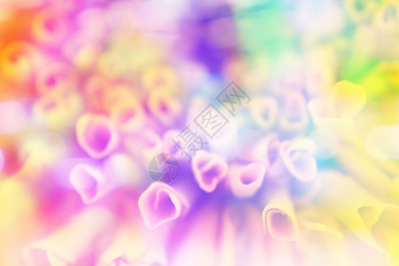 花朵样式流程图花的颜色背景 以照片填入老样样式效果郁金香植物粉色淋浴粉红色植物群蓝色花朵情绪美丽背景