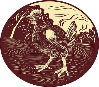 鸡飞上树奥瓦尔伍德克雕刻插图油毡块家禽印刷油毡场地动物艺术品野生动物插画