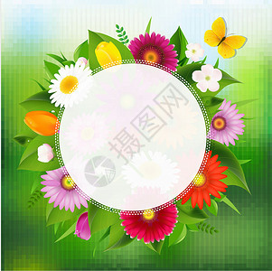 格仔蝴蝶配鲜花的夏季海报设计图片