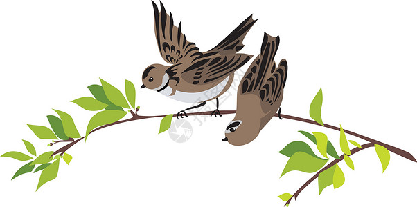 燕子麻雀春树枝上的麻雀插画