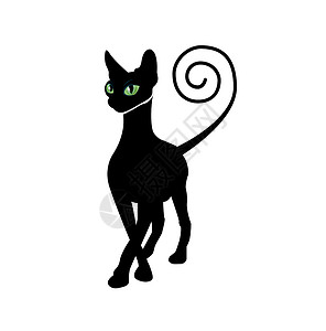 黑猫双月光创造力动物白色眼睛尾巴绿色精制乐趣背景图片