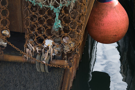 贝壳里的桃子印刷海星安全钓鱼刮刀错误高清图片
