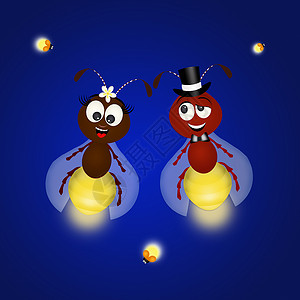 萤火虫织物新娘婚礼婚姻微笑插图昆虫明信片夫妻灯泡动物背景图片