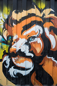 街头艺术绘画中的狮子背景图片