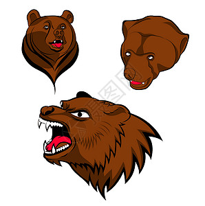 属地的棕熊头力量森林学校团队属地捕食者运动野生动物动物荒野插画