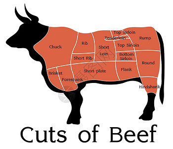 牛肉部位图矢量牛肉切断图插画