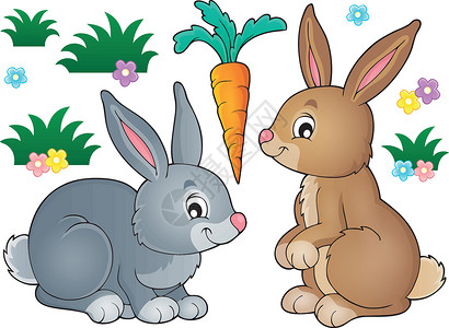 兔子专题图1背景图片