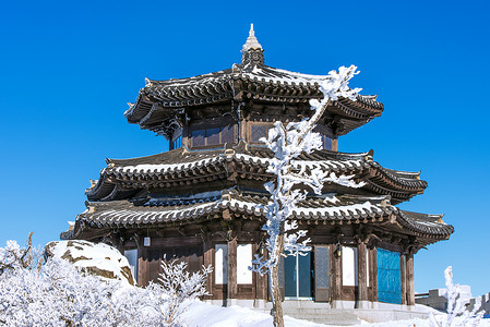 韩国雪道韩国冬季的德雨山背景