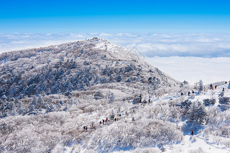 韩国滑雪冬天的风景 韩国最高的山峰地貌背景