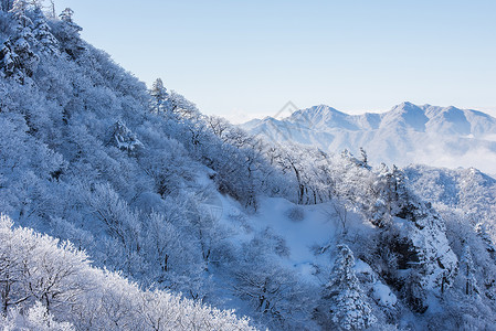 雅山国家的德裕山高清图片