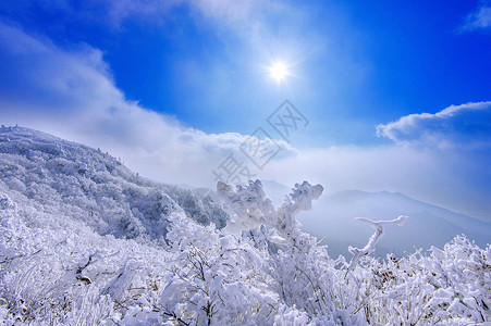 德智冬雪和清晨雾笼罩着德雨山风景天空故事爬坡薄雾墙纸国家晴天太阳公园背景