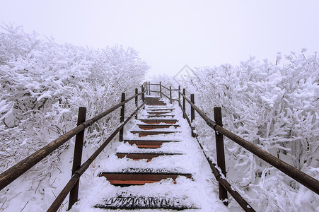 冬天在山坡上登木林楼梯 在苏的德州山森林旅游天气野餐爬坡栏杆日志故事血统天空背景图片