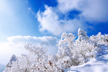 德智冬雪和清晨雾笼罩着德雨山故事公园天气风景国家爬坡太阳海雾晴天墙纸背景