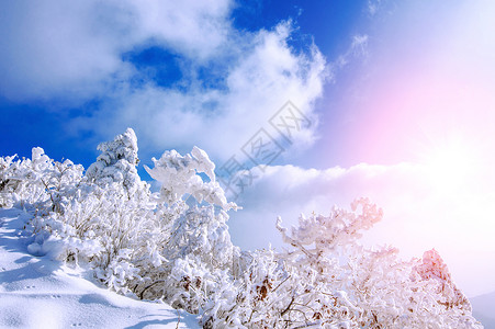 韩国雪道雪岳山下雪的高清图片