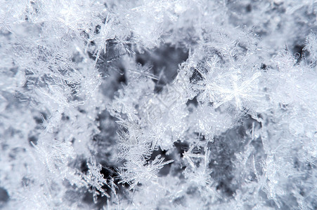 不寒而栗自然环境中的雪花宏 笑声花圈场景季节性白色风景雪原薄片闪光天气雪堆背景