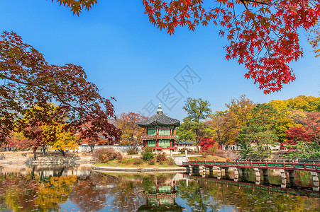 菲德烈八世宫韩国秋天的庆博京贡宫丛林风景橙子公园花园热带叶子阳光木头环境背景