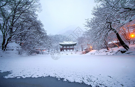 嵩岳寺高的自然高清图片