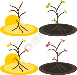 自然树符号图示叶子世界环境插图地球绿色活力树叶背景图片