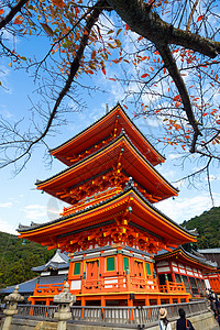 苏塔德拉京都的日本神庙清水祖德拉神道树叶神社花园旅游遗产文化寺庙叶子橙子背景