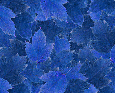 叶子的地毯背景图片