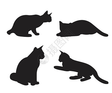 孤立在白色背景上的猫剪影集草图艺术团体哺乳动物女性宠物收藏动物猫科卡通片设计图片